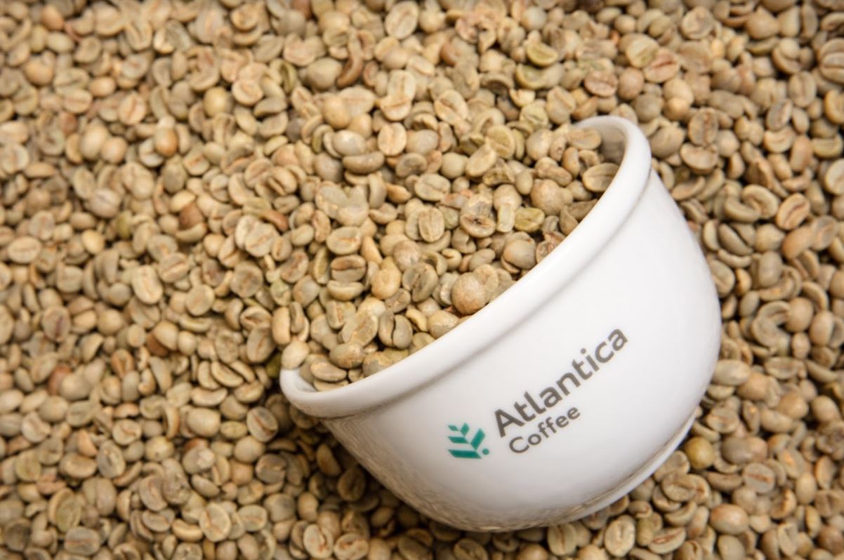 Where to buy Arabica Coffee Beans