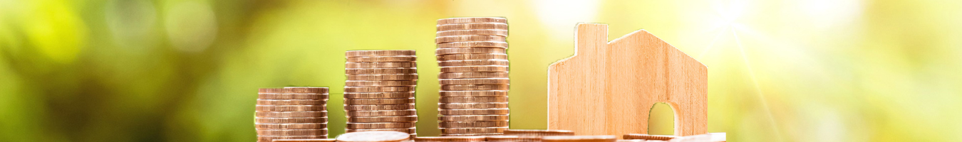 NEET UG Counselling & Admission Assistance Packages 2020