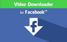 Facebook private video downloader online
