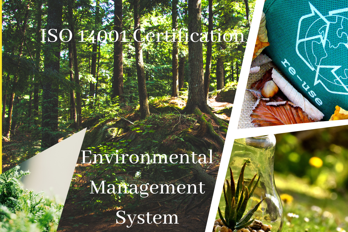 ISO 14001 Certification in Turkey