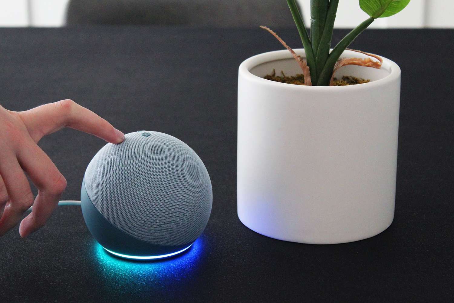 How to Setup Your Amazon Echo Dot to Solve WiFi Problems?