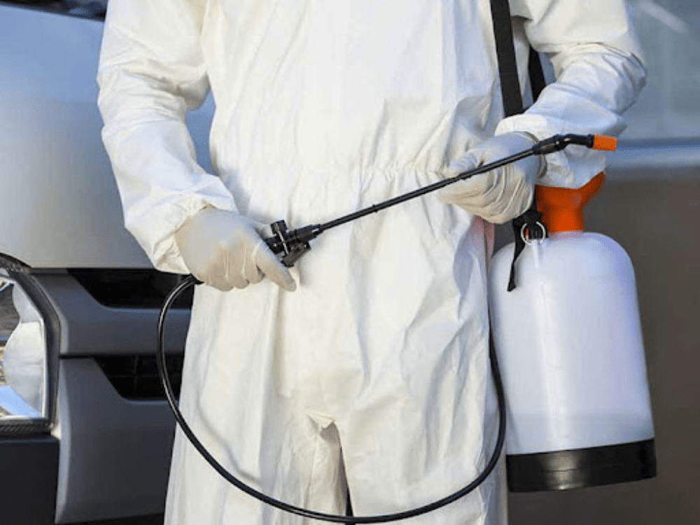 Pest Control San Antonio