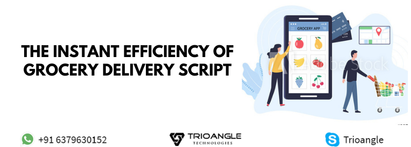 The Instant Efficiency of Grocery delivery Script