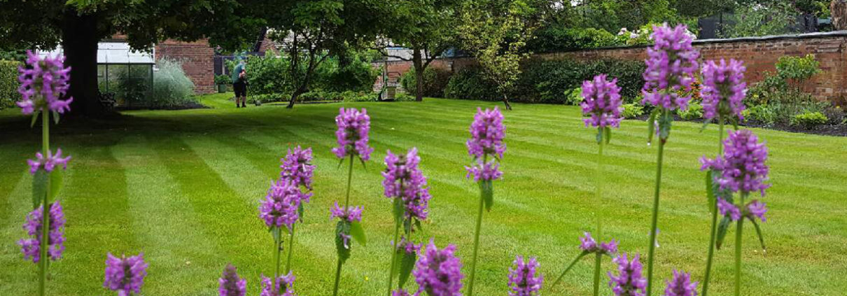 Lawn Mowing Essendon West