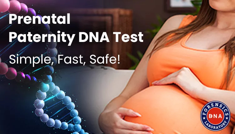 Get a Safe & Fast Non-Invasive Prenatal Paternity Test in India