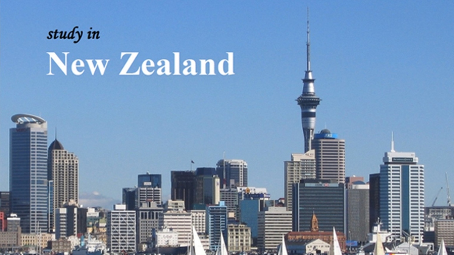 New Zealand Student Visa Procedure