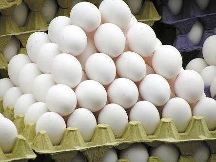 Eggs Suppliers, Wholesalers and Exporters in India