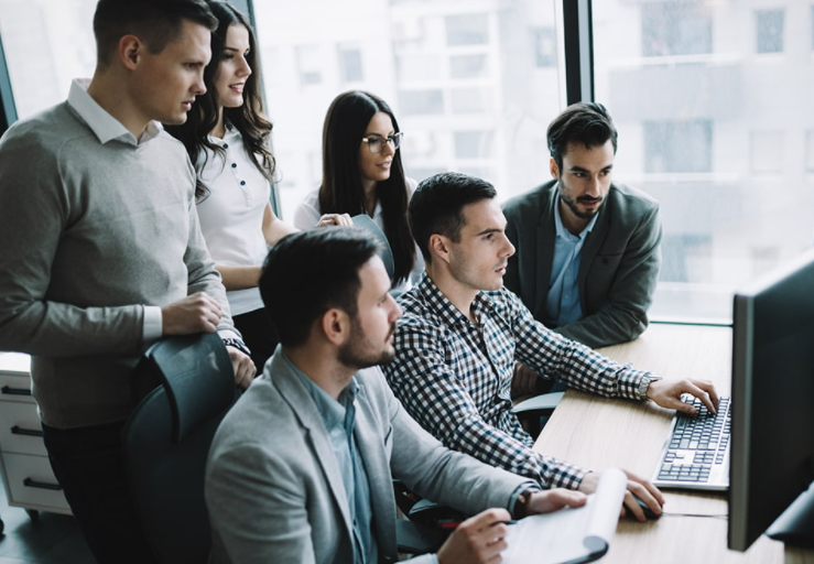 Web Development Team Structure