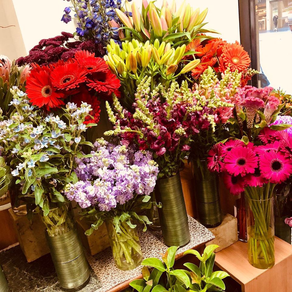 Online Same Day Flower Delivery Brisbane