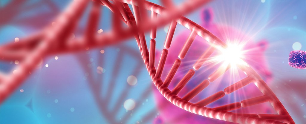 Epigenetics Market 14.63% of CAGR, Industry Trends, Demands, Revenue by 2027| Opportunities by Syndax; New England Biolabs; Epizyme, Inc.; Domainex; Agilent Technologies, Inc.