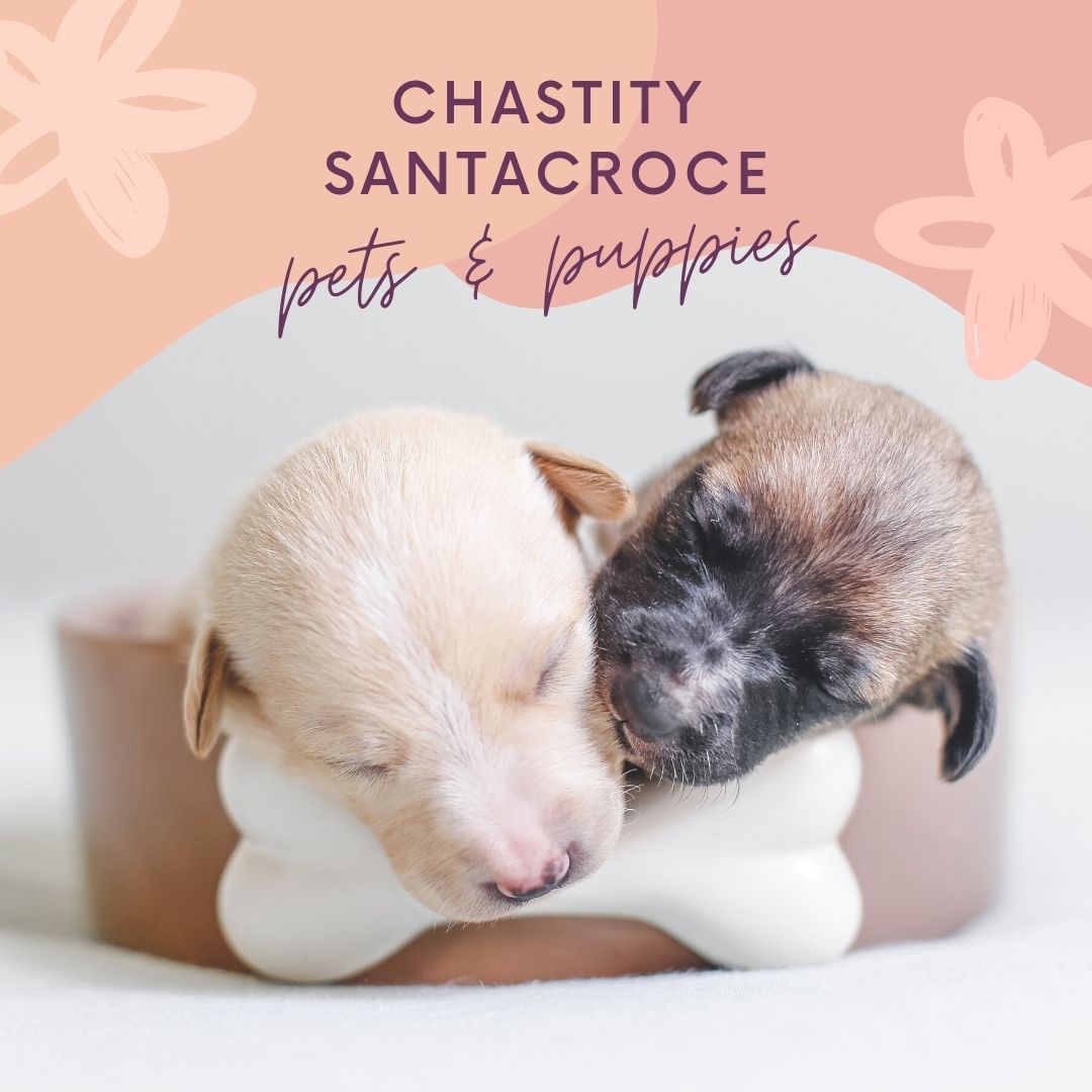 Chastity SantaCroce – Performs kid-friendly skits