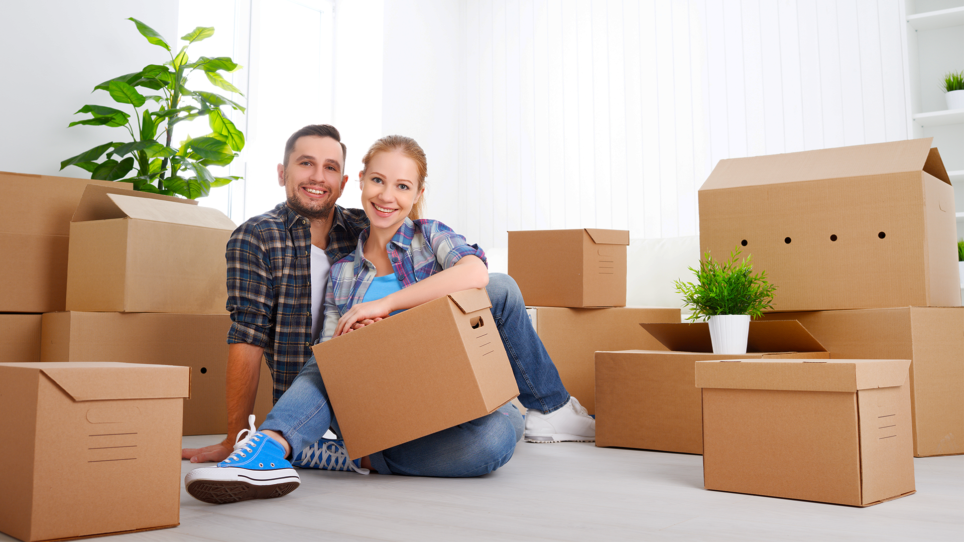 Moving Company In Temple Terrace