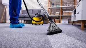 Best Business Carpet Cleaning Services in Naples