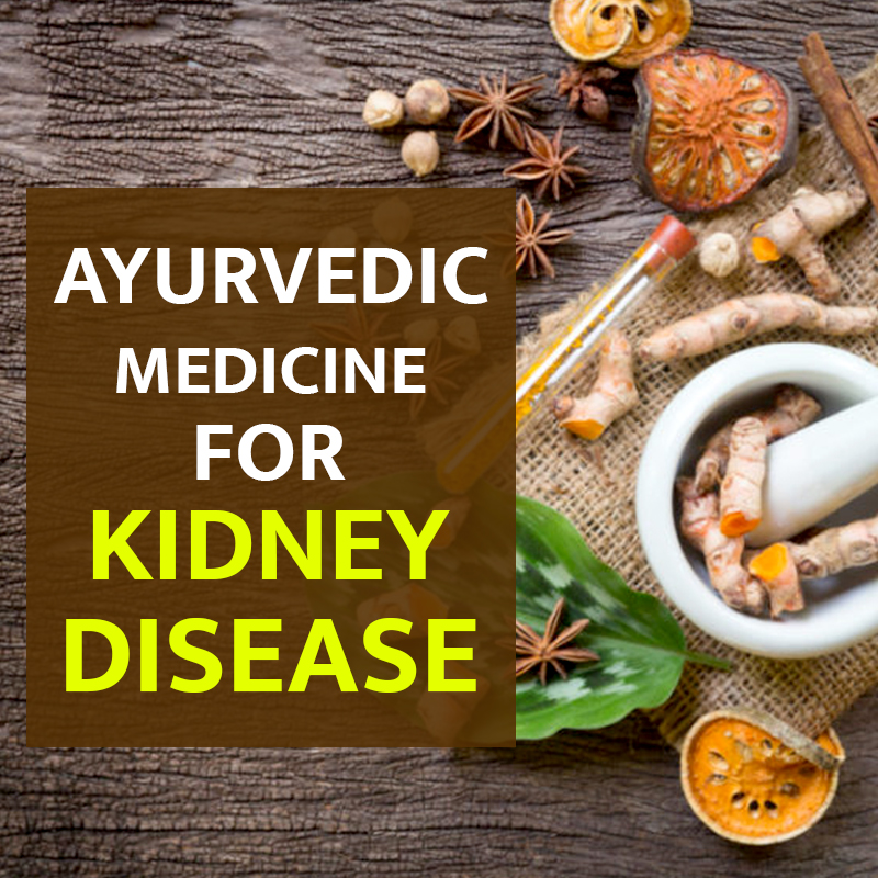 Ayurvedic Medicine For Kidney Disease