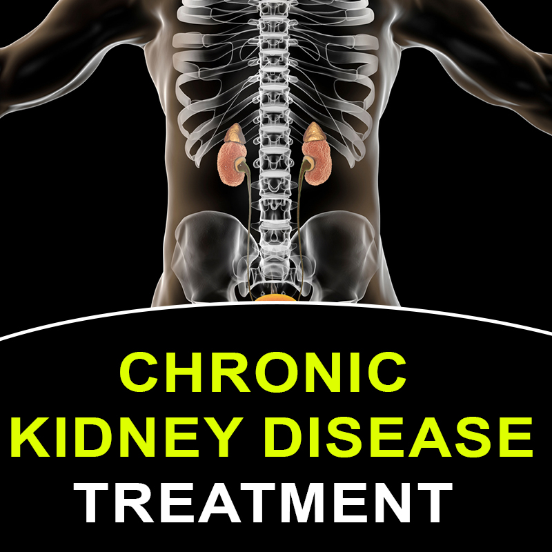 Chronic Kidney Disease Treatment