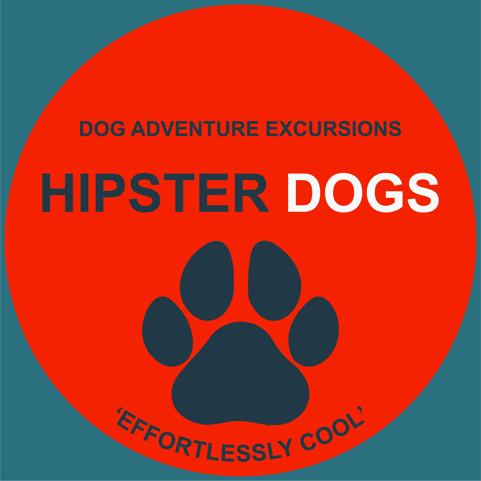 Are you looking for a dog walker? Here are some ways of picking a good fit
