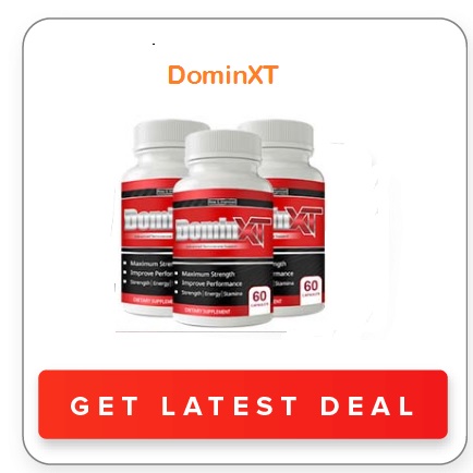 How Does DominXT Work?