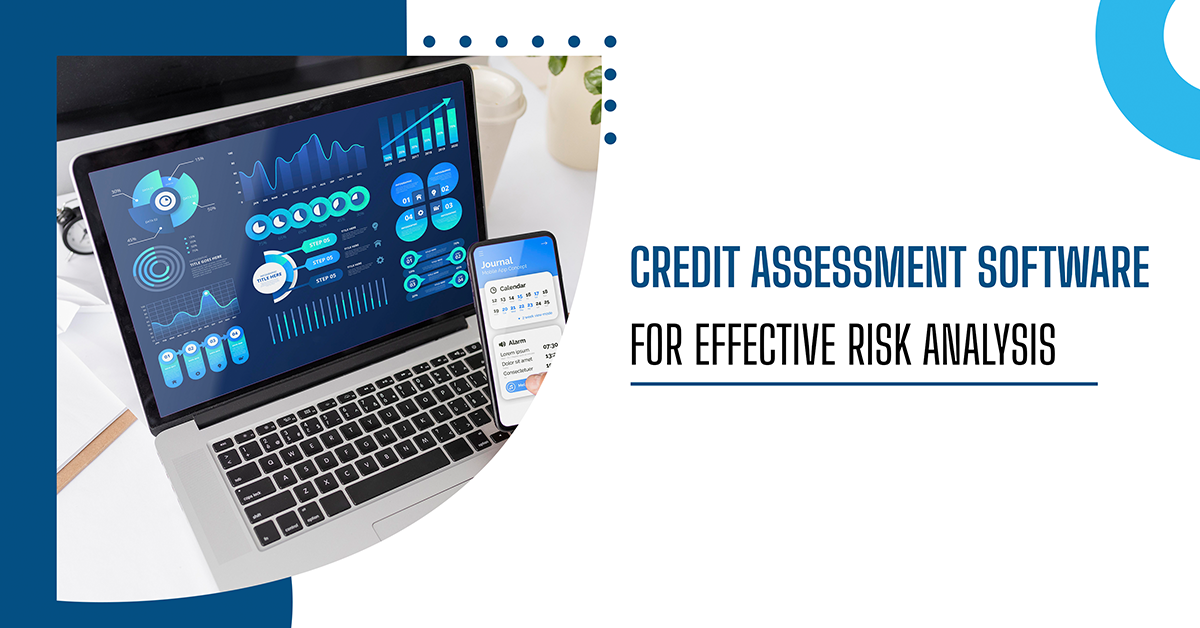 Credit Assessment Software for Effective Risk Analysis