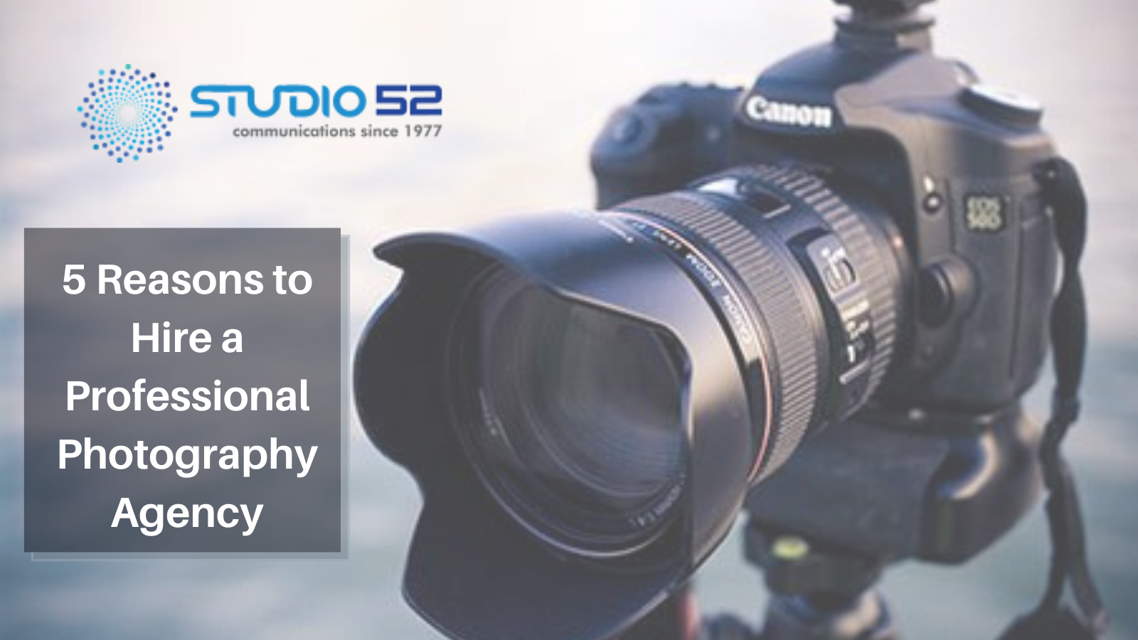 5 Reasons to hire a professional photography agency