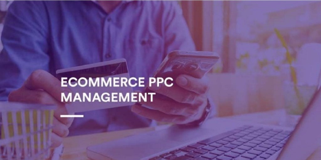 Top Rated eCommerce PPC Management Services