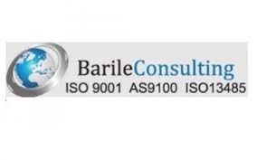 ISO 9001 Consulting