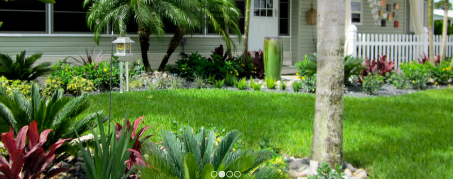 Reasons to Consider a Tree Removal Company