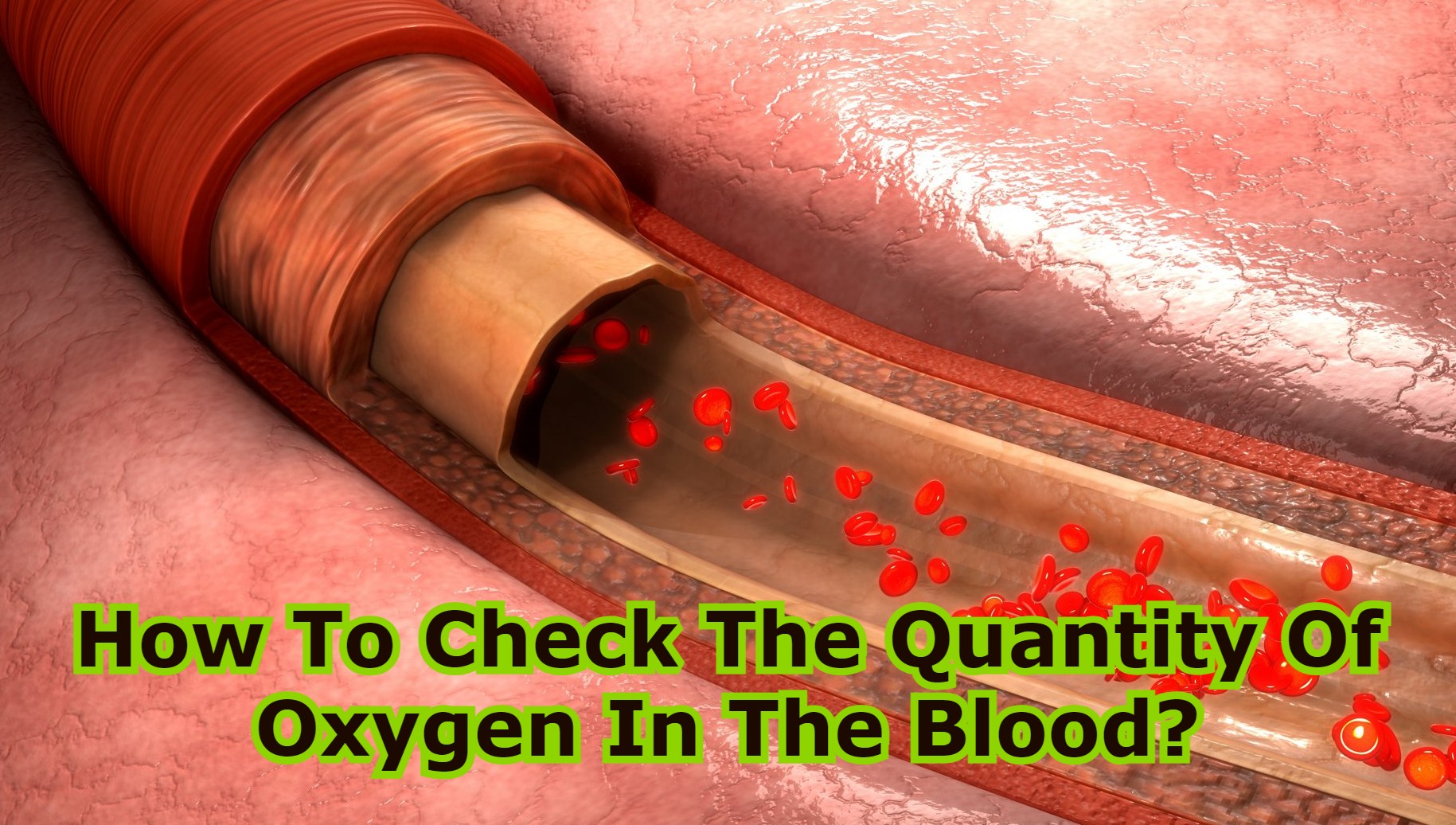 How To Check The Quantity Of Oxygen In The Blood?