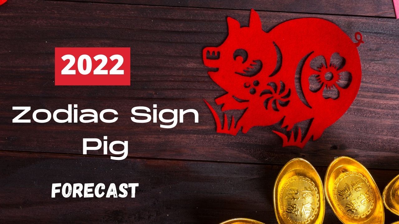 Complete Pig Chinese Zodiac Animal Sign Forecast 2022 — FengShuiTricks.com