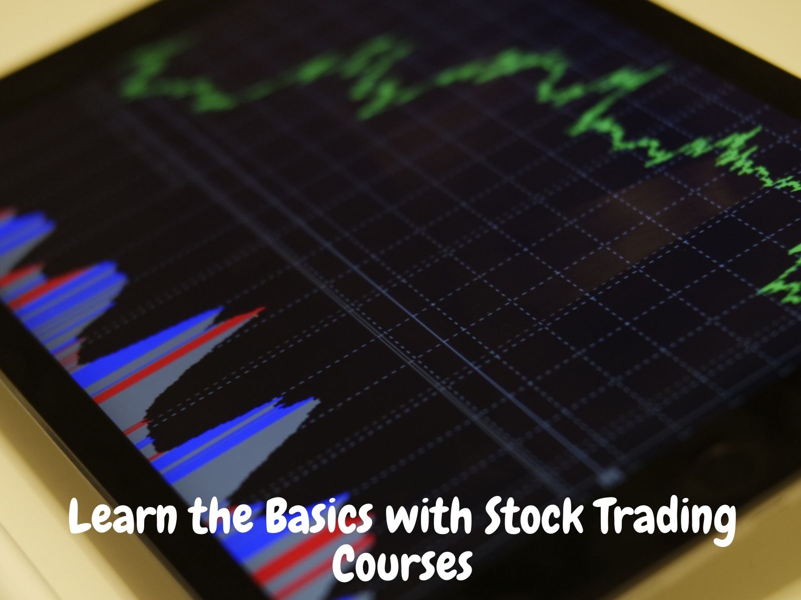 Learn the Basics with Stock Trading Courses