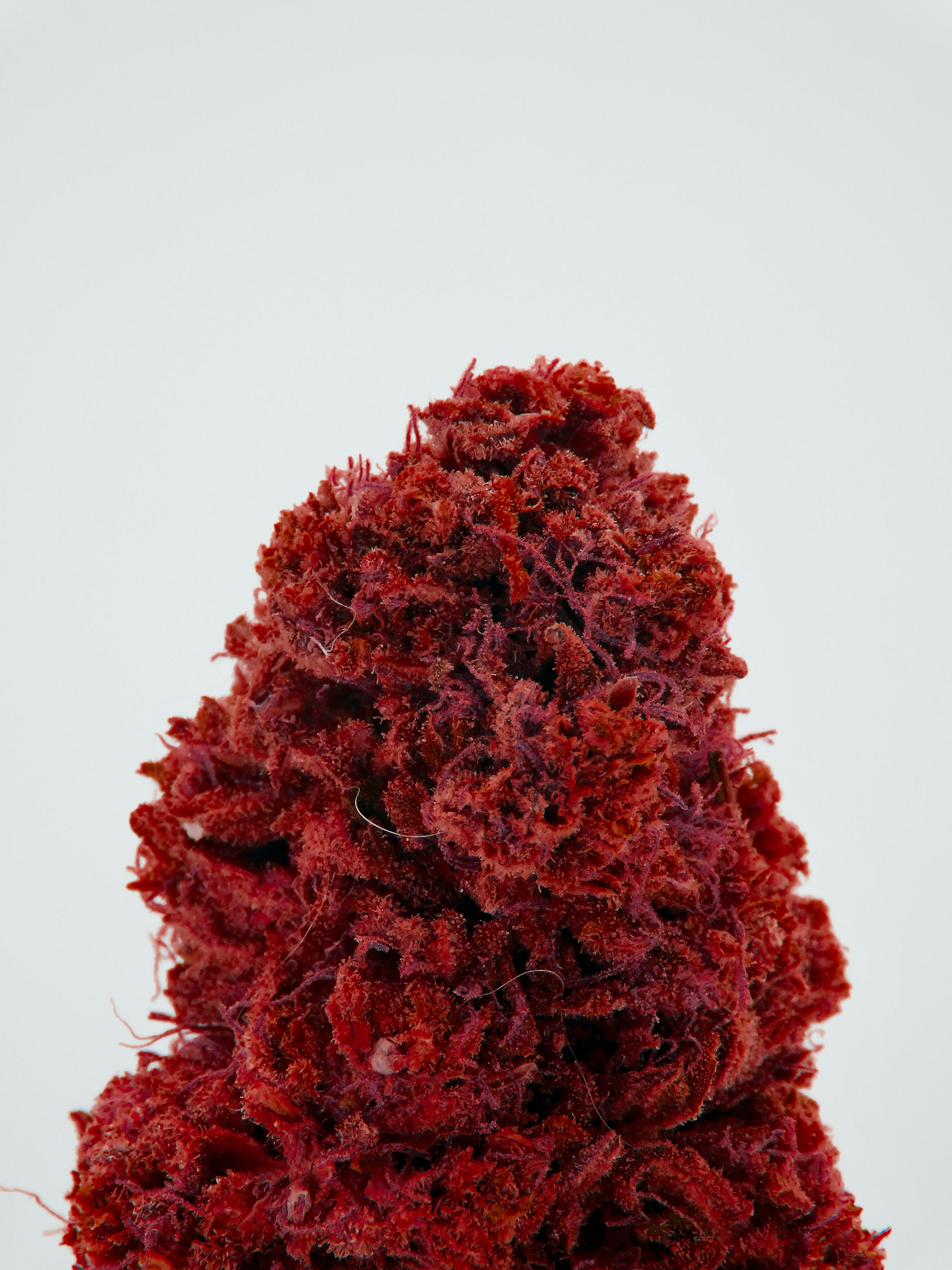 How Often You Require Medical Marijuana Card Renewal?