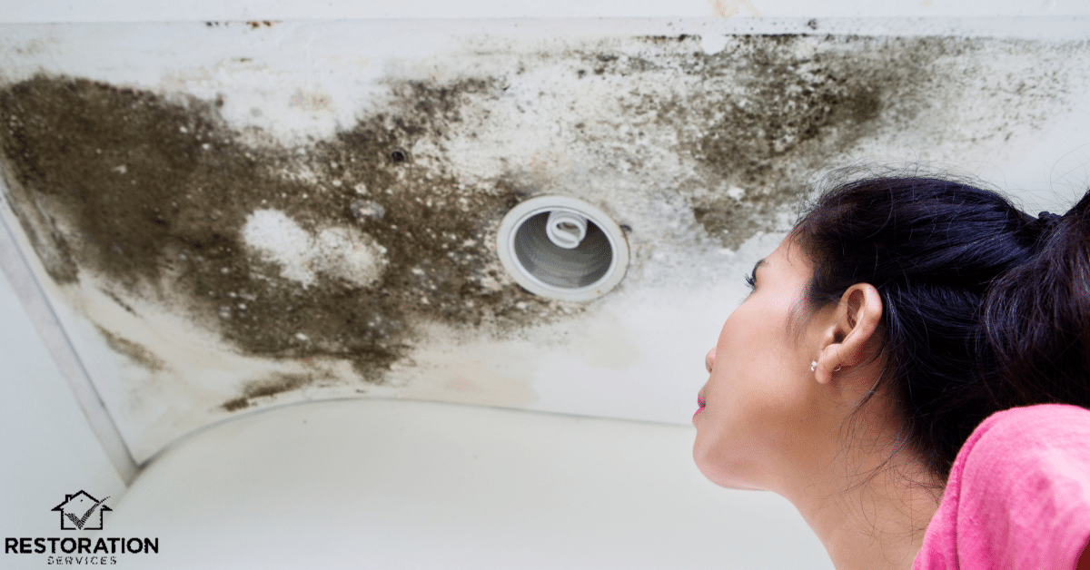Raleigh NC Water DamageRestoration