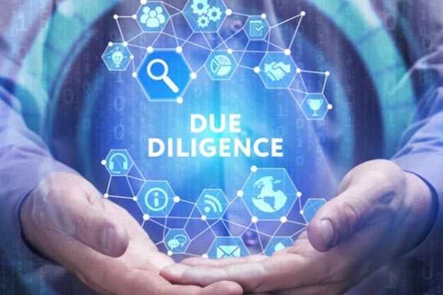Due Diligence Service