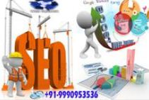 Best SEO Service Providers