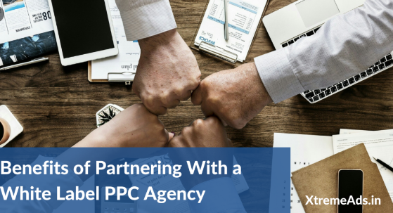 Google Shopping Ads Management Agency in India