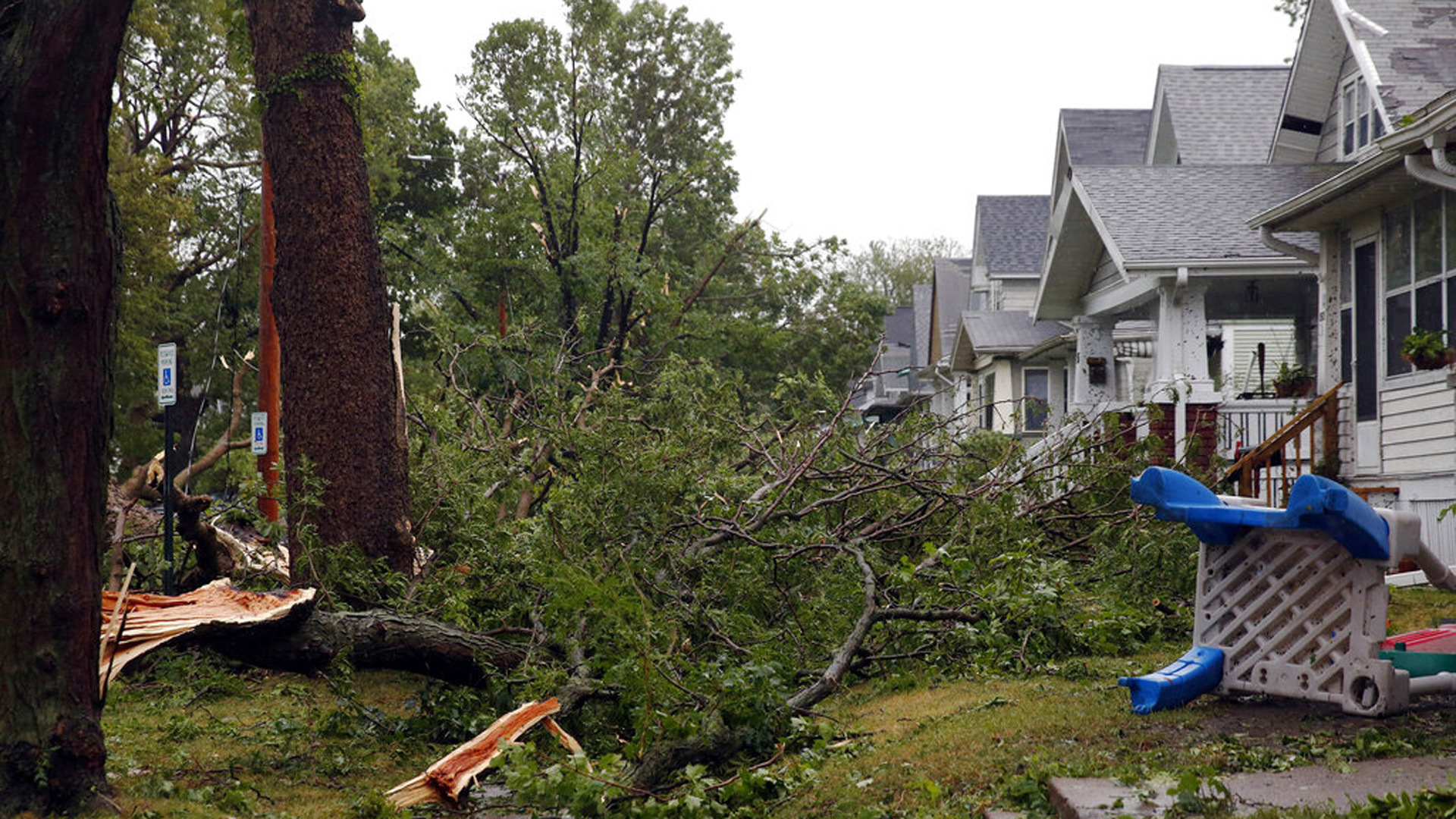 Yard Debris Removal in Midlothian TX