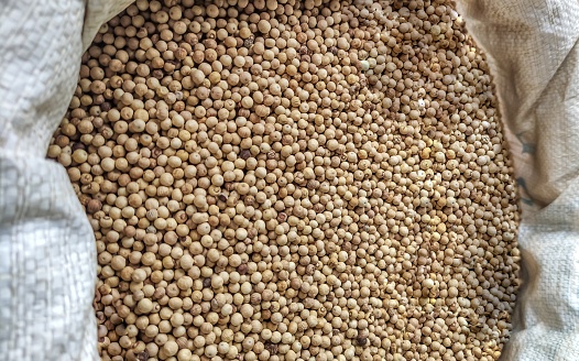Grain Seed Market Opportunities & Forecast To 2027 