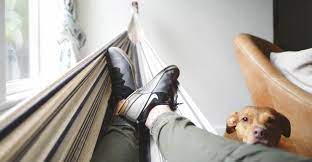 Removalists Sydney to Melbourne Monarch Removals