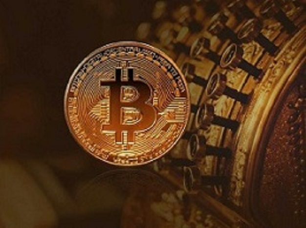 Create your dream business cost-effectively with IDO Token Development Company