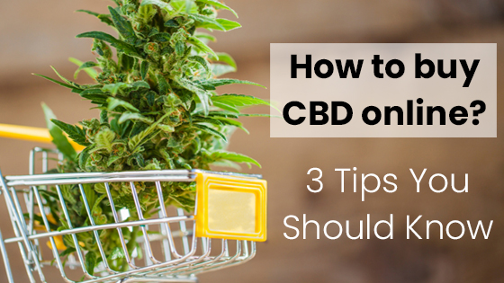 How To Buy CBD Online?