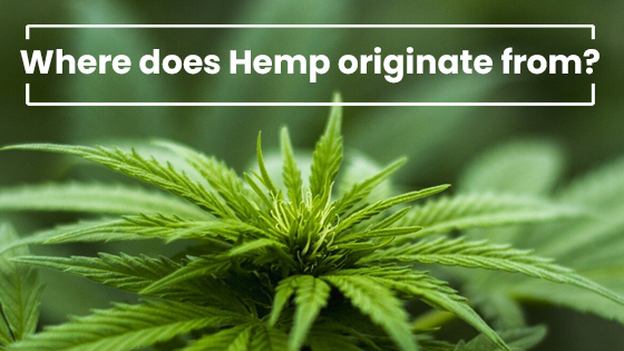 Where Does Hemp Originate From?