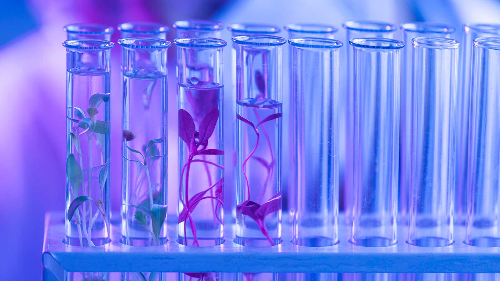Key Applications of Data Science in the Biotechnology Industry