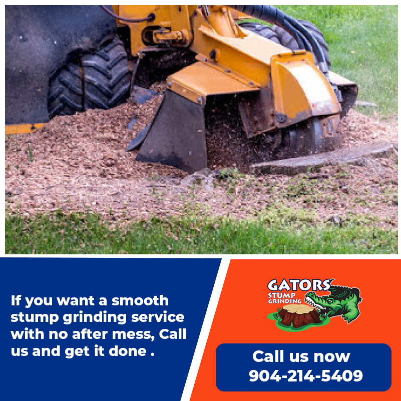 What makes the best stump grinding company?