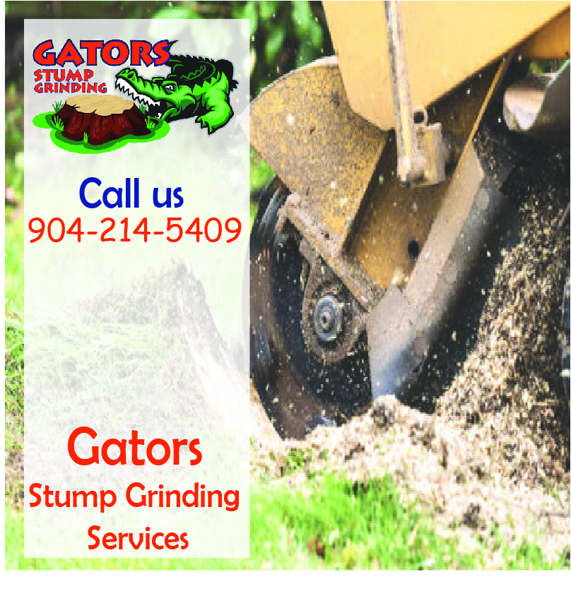Stump grinding Orange Park Fl