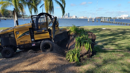 Stump grinding Jacksonville Fl