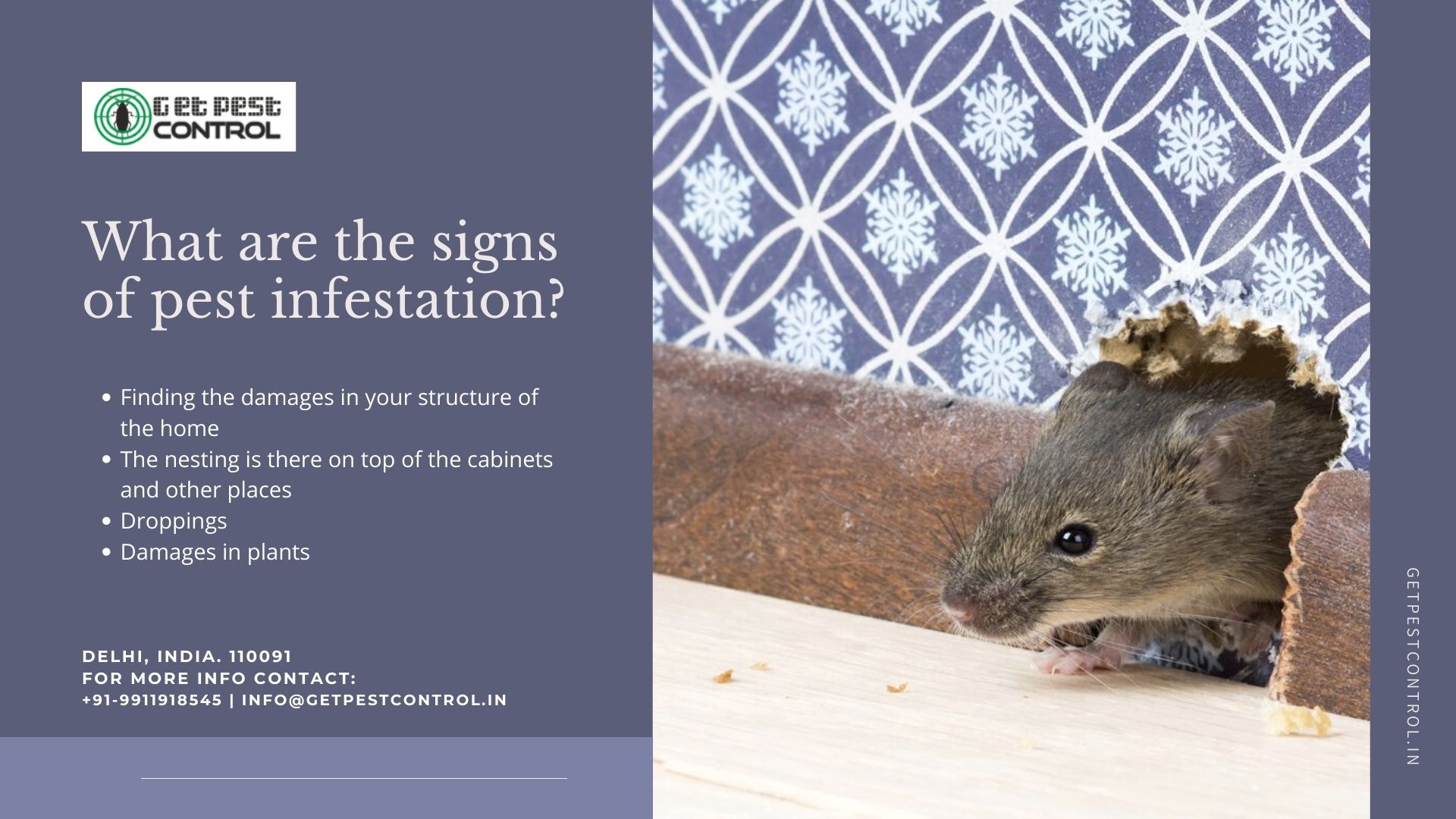 What are the signs of pest infestation?