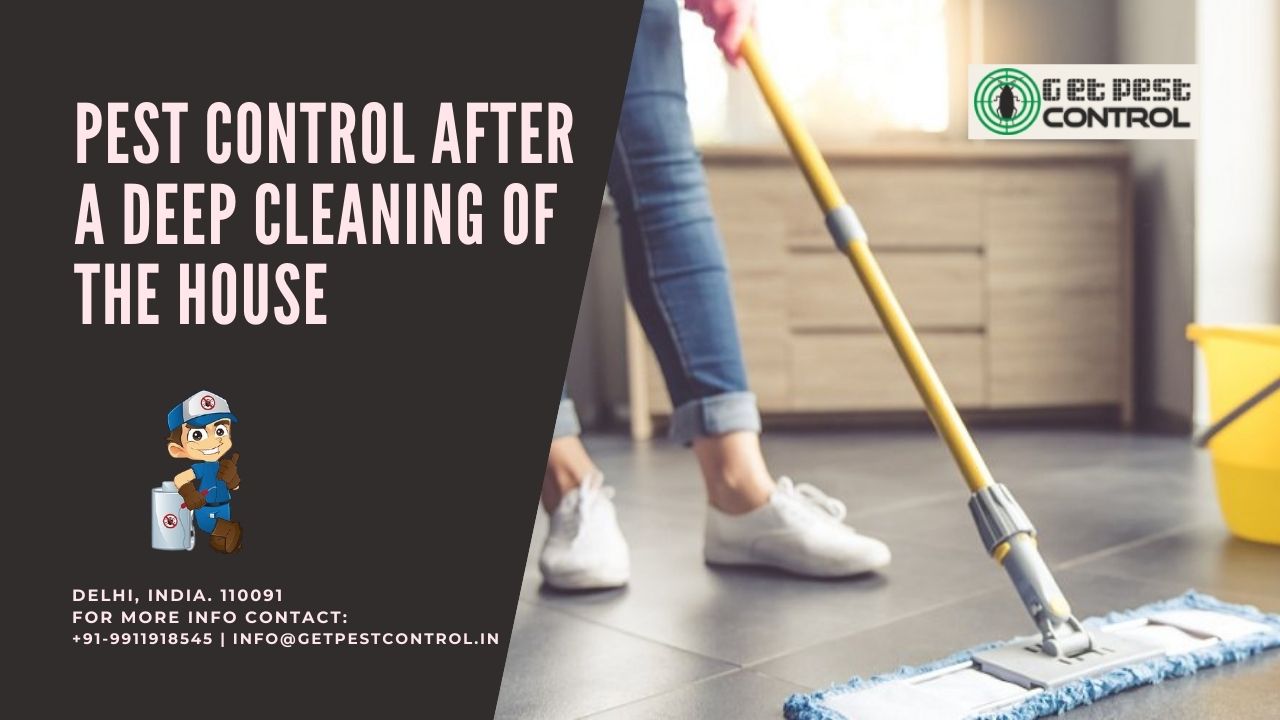Why pest control is needed to do after a deep cleaning of the house