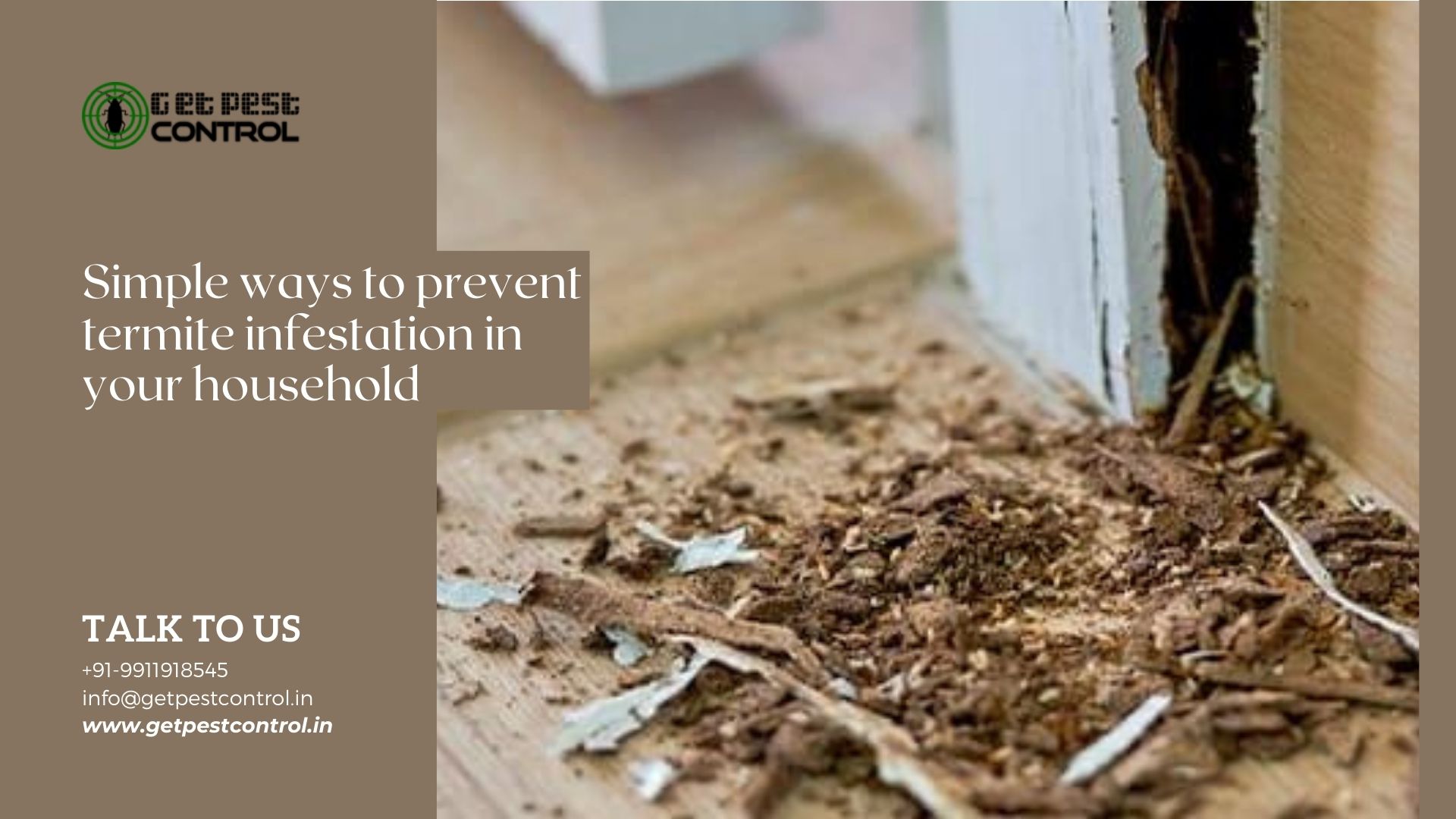 Simple ways to prevent termite infestation in your household
