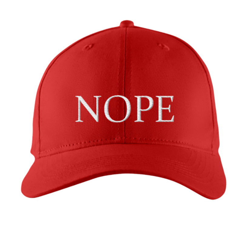 Trump should never hold office again hat
