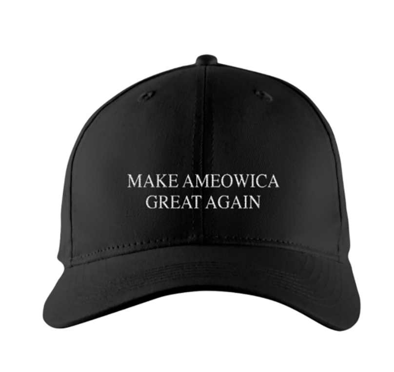 Make Ameowica great again hat