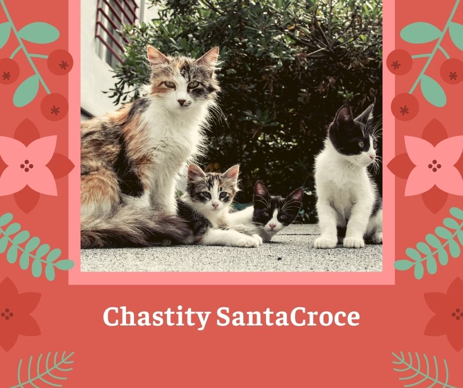 Chastity SantaCroce - Skits and Skit Ideas
